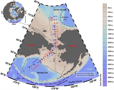 Hydrographic Feature Variation Caused Pronounced Differences in Planktonic Ciliate Community in the Pacific Arctic Region in the Summer of 2016 and 2019